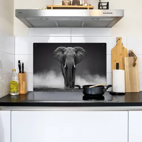 Olifant - Zwart - Wit - Rook Inductie beschemer met haakjes klein -sfeer2