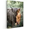 Schotse Hooglanders - Bos - Dieren canvas 2cm klein -z3d