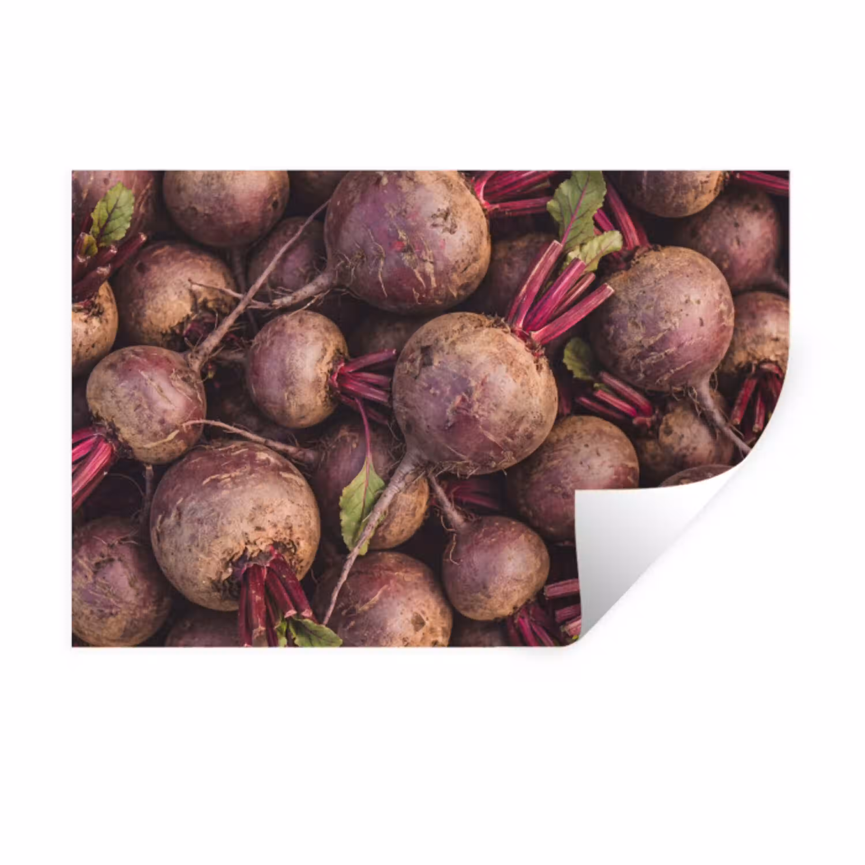 Groente - Rood - Natuur Muursticker klein -3d