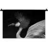 Kraanvogel - Zwart - Wit - Vogel - Dieren Wandkleed katoen klein -zz3d