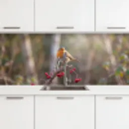 Roodborst - Tak - Bessen - Natuur keuken achterwand 2 middel -3d
