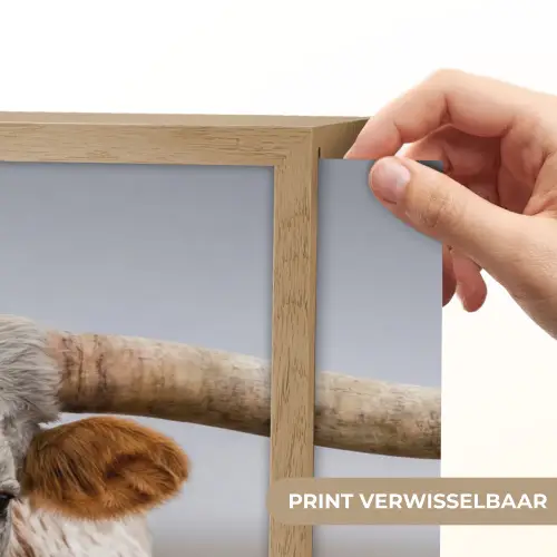 Longhorn - Grasveld - Dier Light Box met batterij (Wandlamp) middel -USP_websiteprintNL