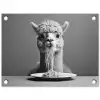 Alpaca - Pasta - Zwart - Wit - Grappig - Dieren tuinposter los doek klein -3d
