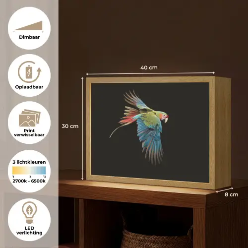 Papegaai - Kleurrijk - Vleugels - Sierlijk Light Box met batterij (Wandlamp) middel -USP_websiteoverzichtNL