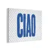 Ciao - Blauw - Stippen PET vilt klein -3d