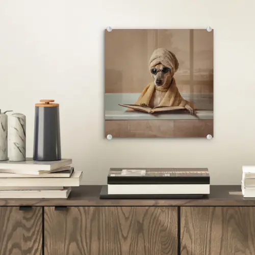 Bad - Hond - Boek - Zonnebril plexiglas 5mm klein -sfeer1