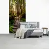 Jungle - Natuur - Trap - Bomen fotobehang vinyl groot -slaapkamer