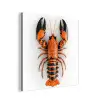 Kreeft - Zwart - Oranje - Wit - Uniek aluminium wit klein -3d