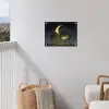 Maan - Bomen - Rust tuinposter los doek klein -sfeer8
