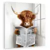 Schotse Hooglander - Dier - Krant - Toilet plexiglas 5mm klein -zzzproduct_nieuw