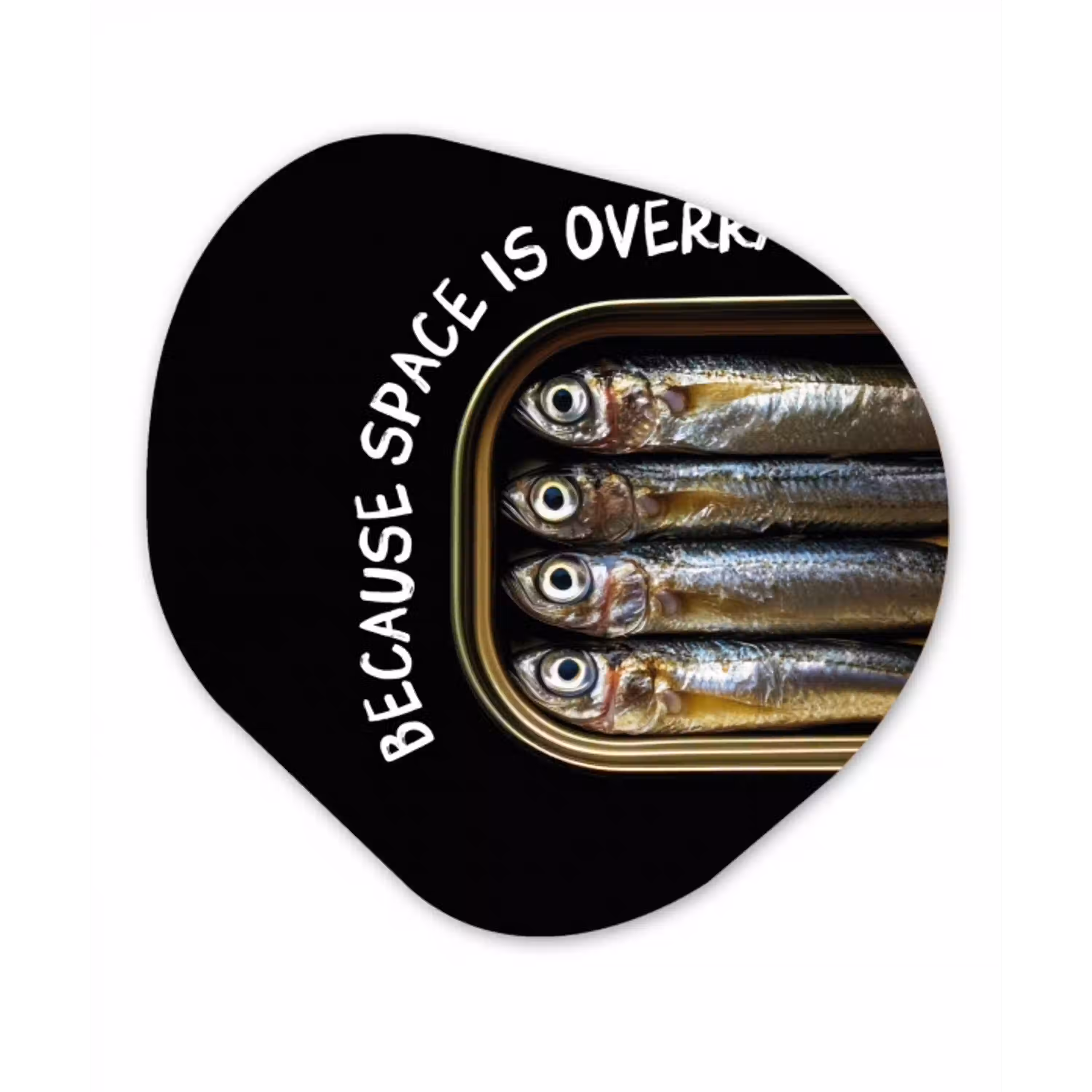 Sardines - Tekst - Vis - Blik Wandcirkel Organisch Plexiglas middel -3d