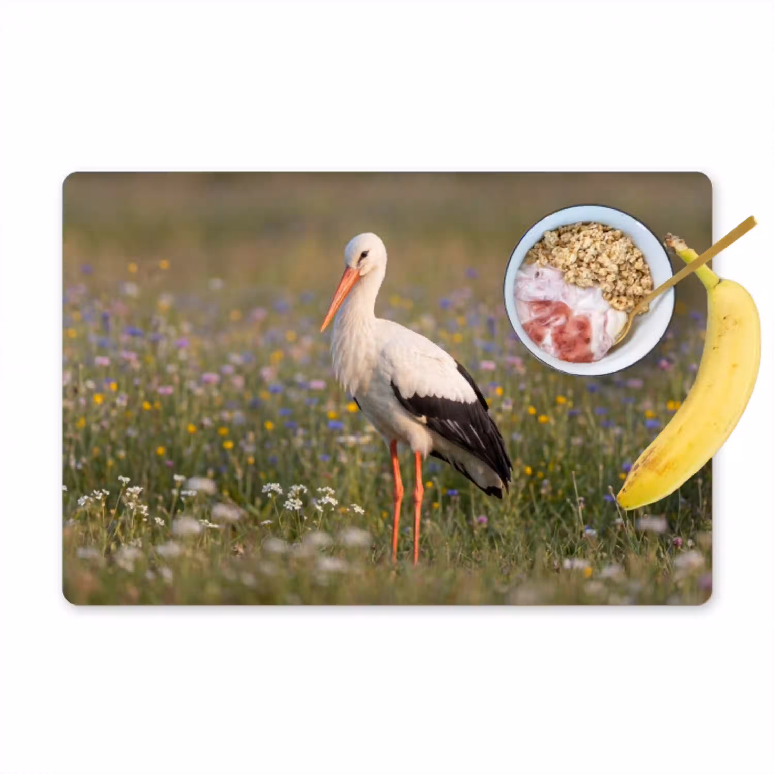 Ooienvaar - Bloemen - Weide - Kleurrijk Placemat vinyl groot -zzzproduct_Kitchenyeah-website