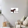 Paard - Modern - Balans Tuinposter op houten frame 2 cm dik klein -sfeer1