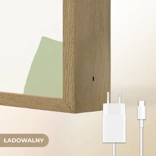 Dino - Triceratops - Dinosaurus - Groen Light Box met batterij (Wandlamp kind) middel -USP_websiteoplaadbaarNL