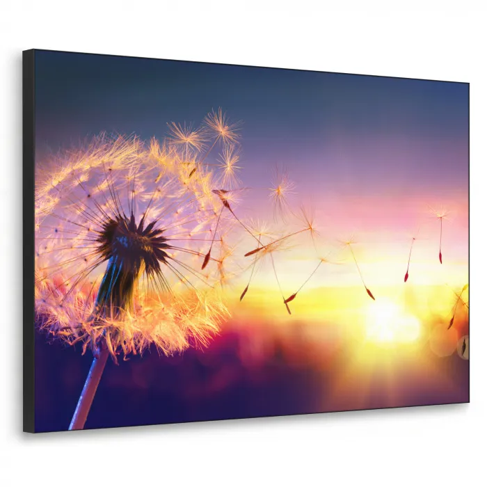 Paardenbloem - Bloemen - Zonsondergang - Horizon - Nacht Textielframe - compleet frame klein -3d