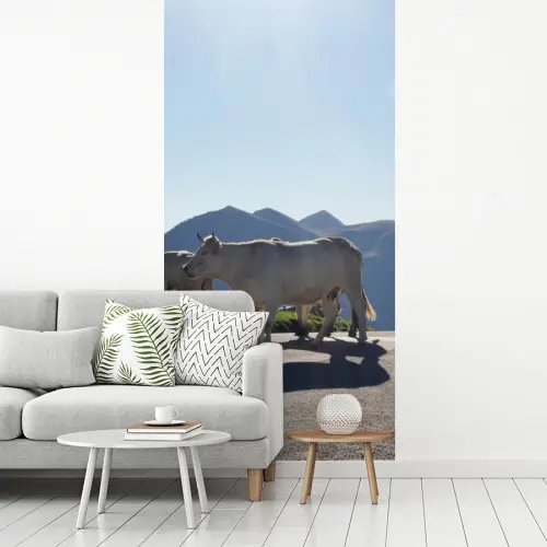 Schotse hooglander - Licht - Berg - Natuur fotobehang vinyl groot -woonkamer