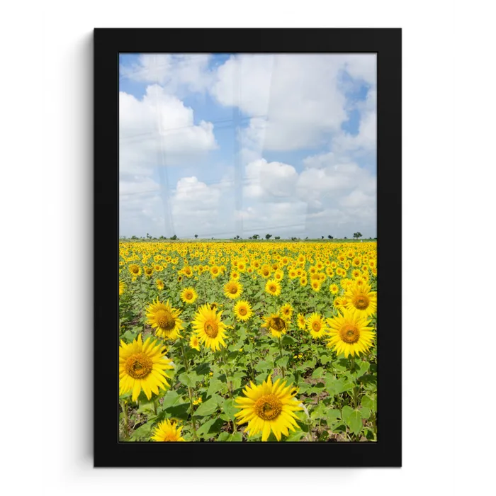 Zonnebloemen - Bloemen - Wolken - Natuur - Geel - Landschap fotolijst zwart zonder passe partout klein -3d