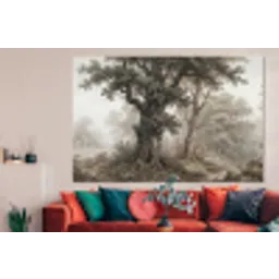 Natuur - Bos - Eik forex 5mm xxl -woonkamer