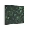 Bladeren - Ovaal - Groen - Nerven PET vilt klein -3d