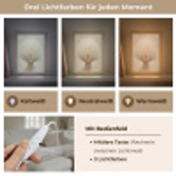 Dromerig - Beige - Paardenbloemzaadjes Light Box met kabel (Tafellamp) klein -USP_lichtkleurDE