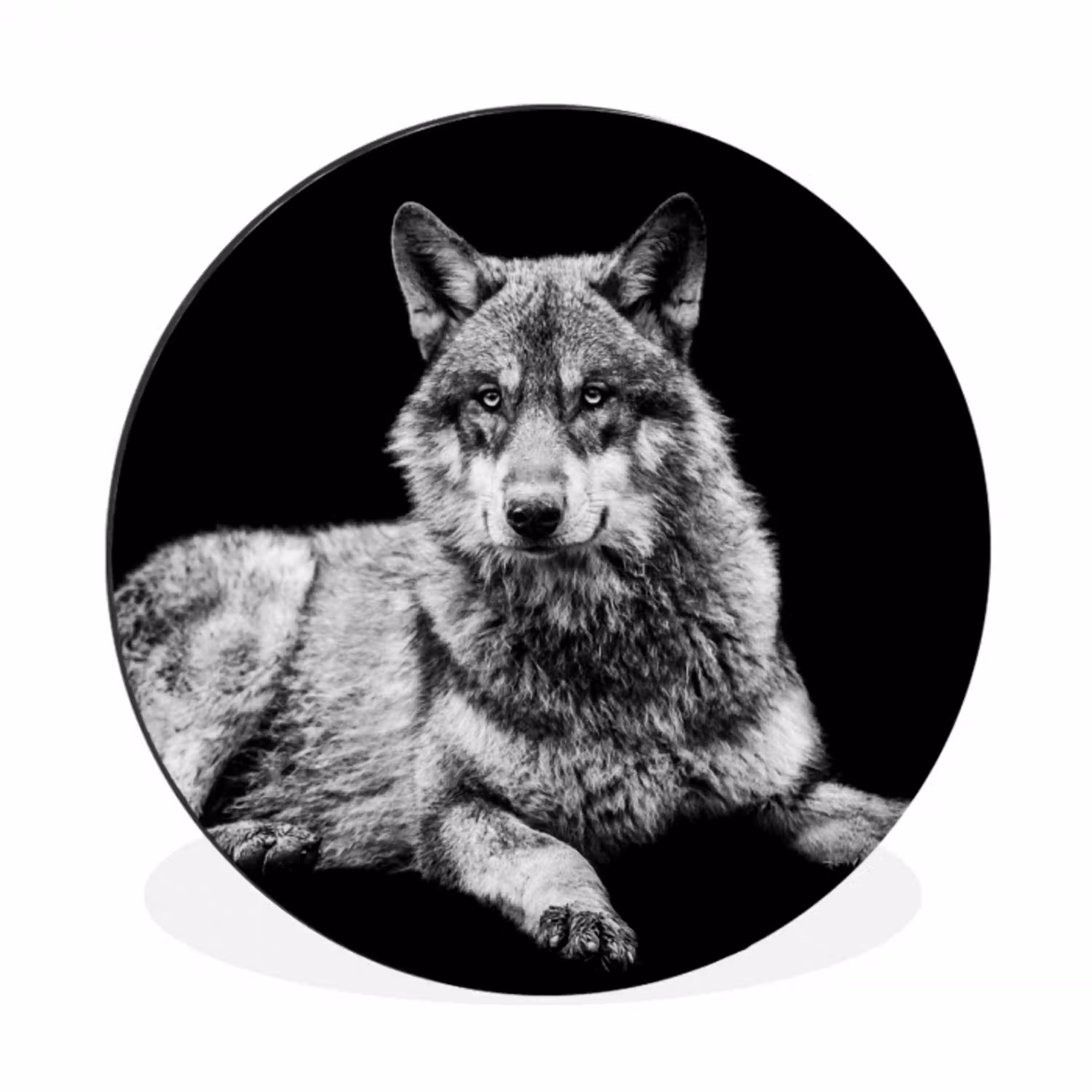 Wilde dieren - Wolf - Zwart - Wit Wandcirkel aluminium klein -3d