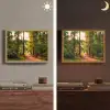 Bos - Pad - Bomen - Groen - Zon - Natuur Light Box met batterij (Wandlamp) middel -sfeer3