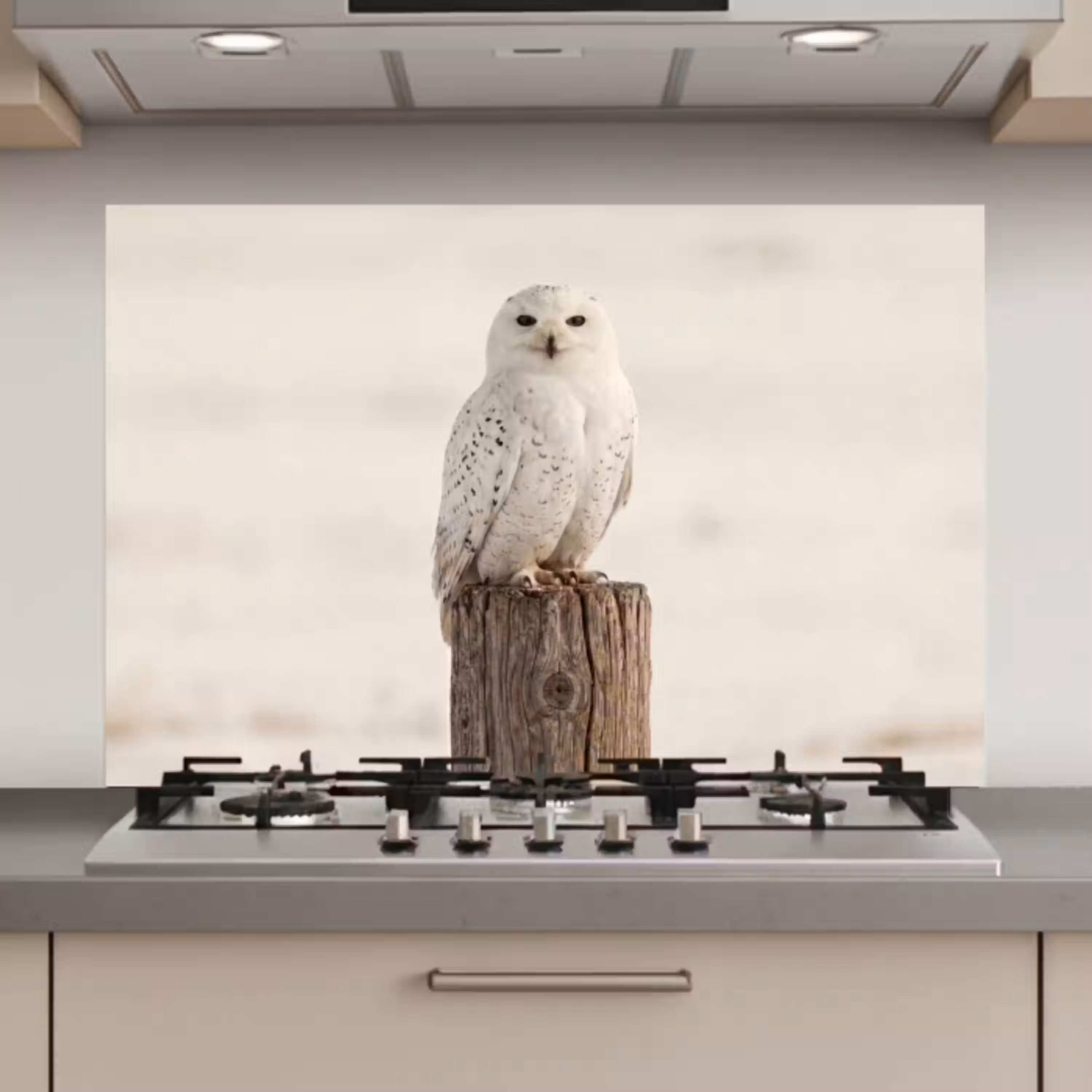Sneeuwuil - Paal - Winter - Portret - Majestueus keuken achterwand spatscherm klein -3d_website