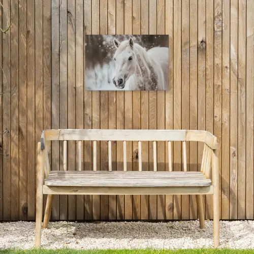 Paard - Wit - Winter - Natuur - Sneeuw - Dieren Tuinposter op houten frame 2 cm dik klein -sfeer4