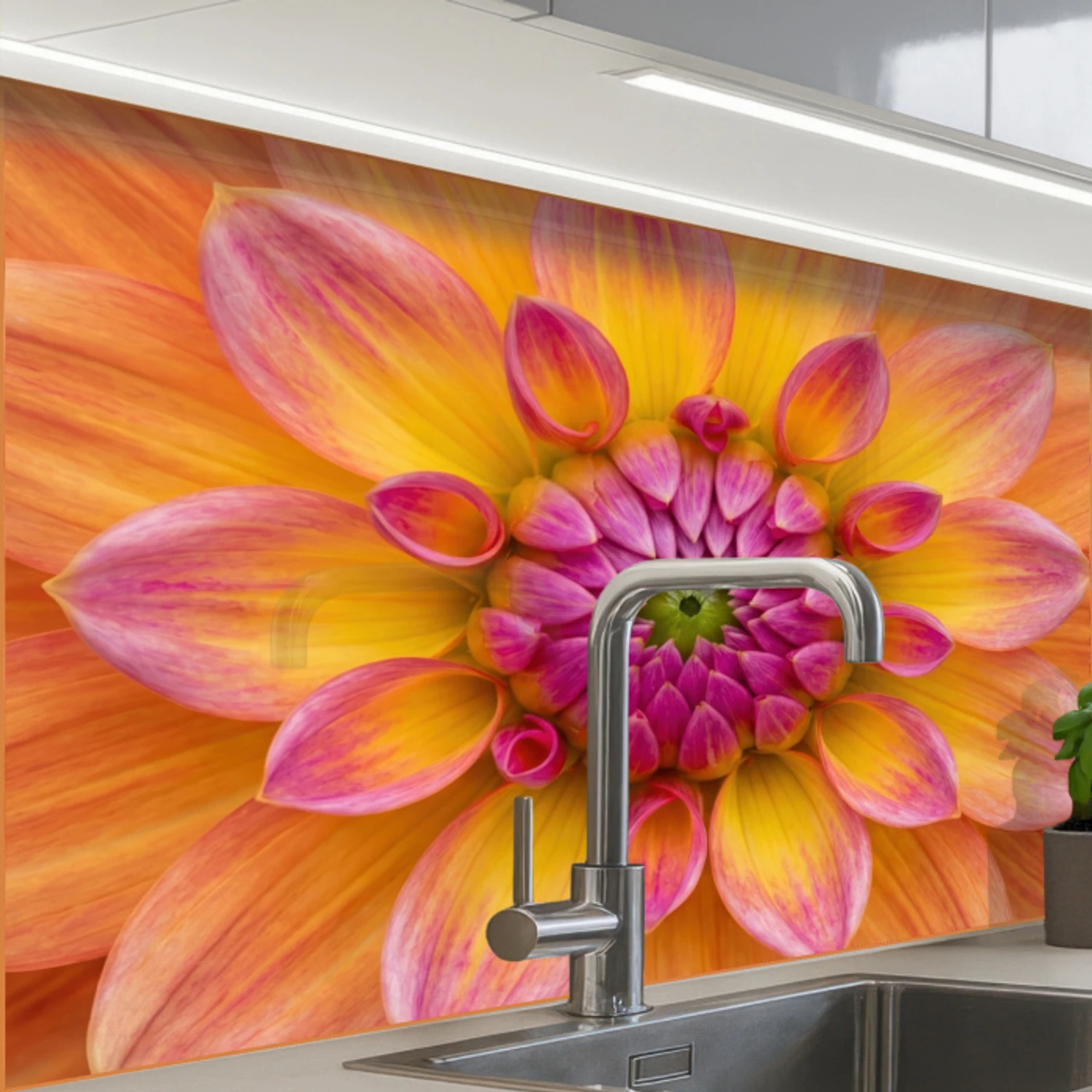 Dahlia - Bloem - Oranje keuken achterwand 2 middel -zzzz3d_schuin