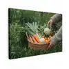 Veld - Groenten - Biologisch - Oogst canvas 2cm klein -z3d
