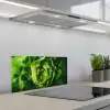 Groente - Sla - Groen keuken achterwand spatscherm klein -3d_schuin