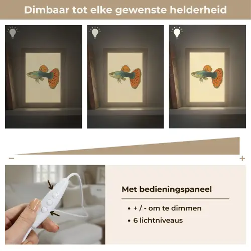 Vis - illustratie - Stippen - Oranje Light Box met kabel (Tafellamp) klein -USP_dimbaarNL