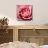 Roze - Roos - Romantisch plexiglas 5mm klein -sfeer4