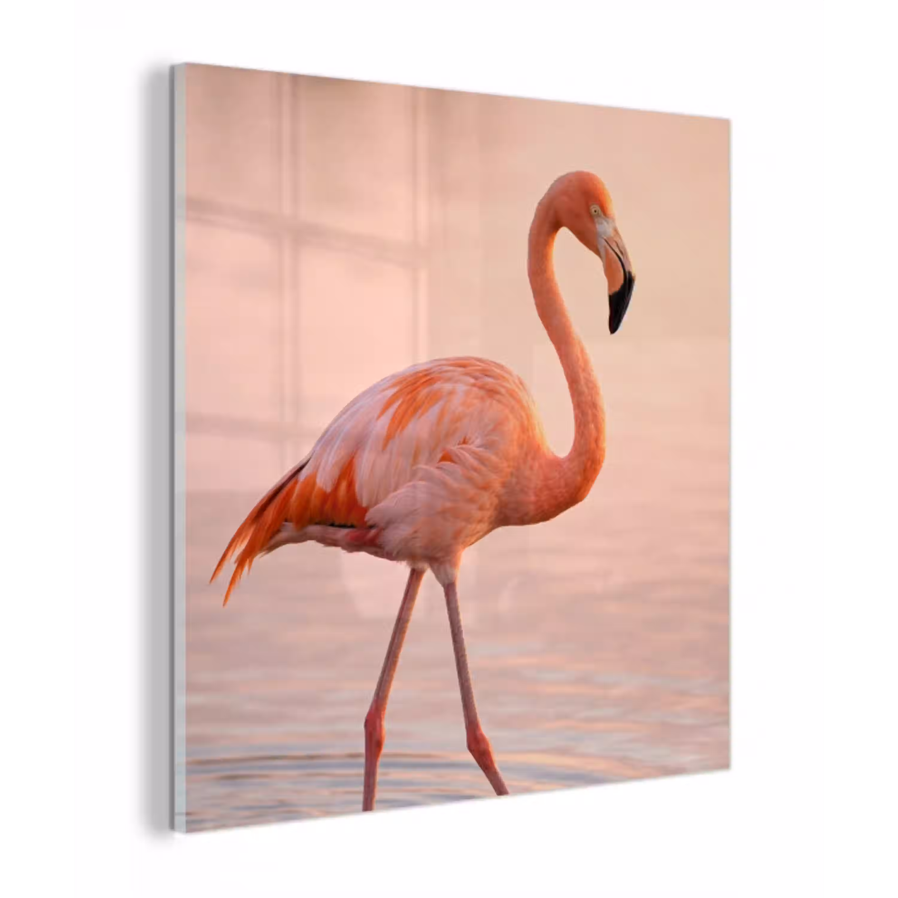 Flamingo - Water - Roze plexiglas 5mm klein -z3d