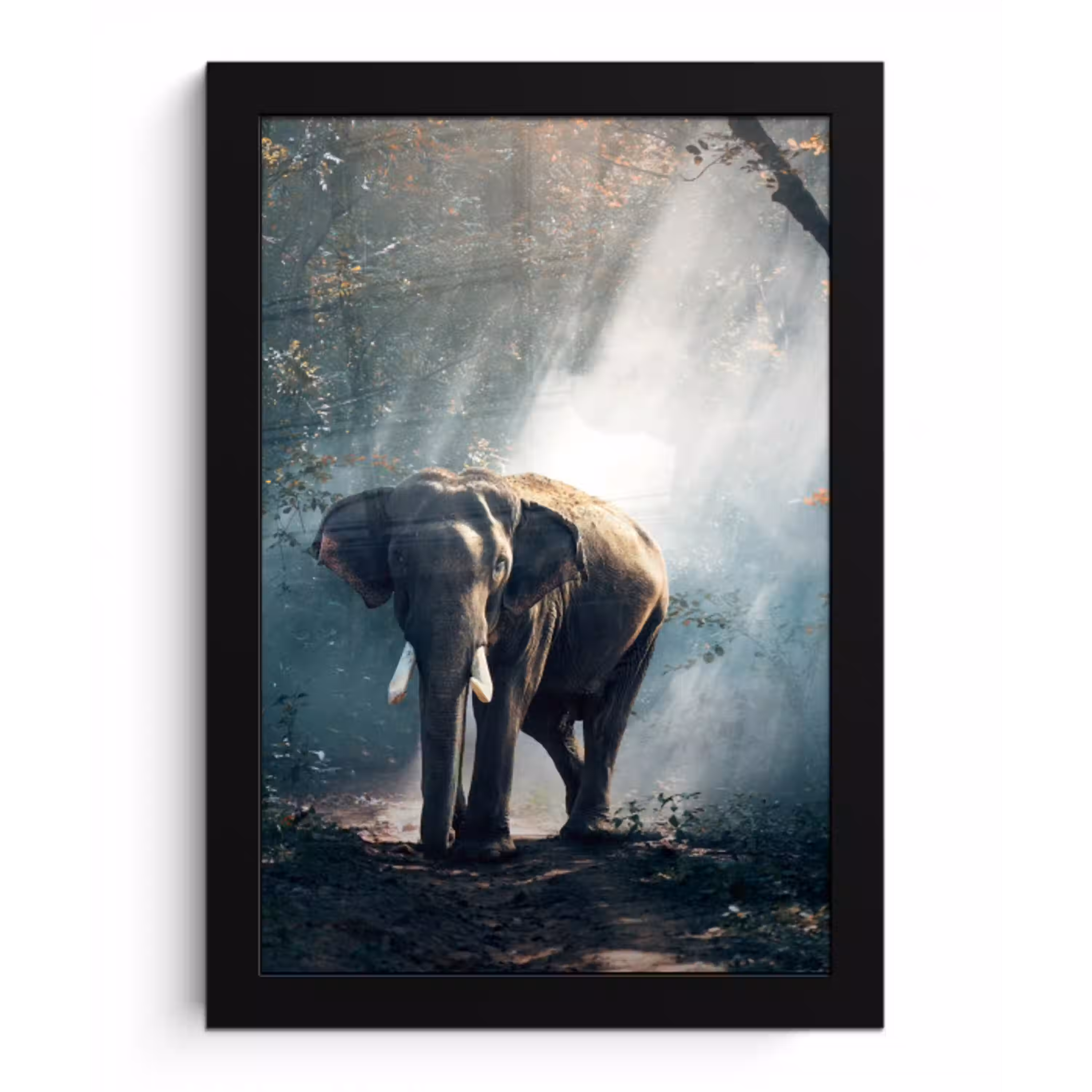 Olifant - Dieren - Licht - Bos - Natuur - Wilde dieren fotolijst zwart zonder passe partout klein -3d