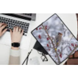 Pestvogel - Bessen - Winter - Natuur laptophoes neopreen klein -bureau