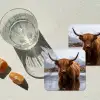 Schotse hooglander - Bruin - Water onderzetter kurk middel -sfeer4