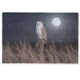 Kerkuil - Maan - Nacht Deurmat klein -zkaufland3d