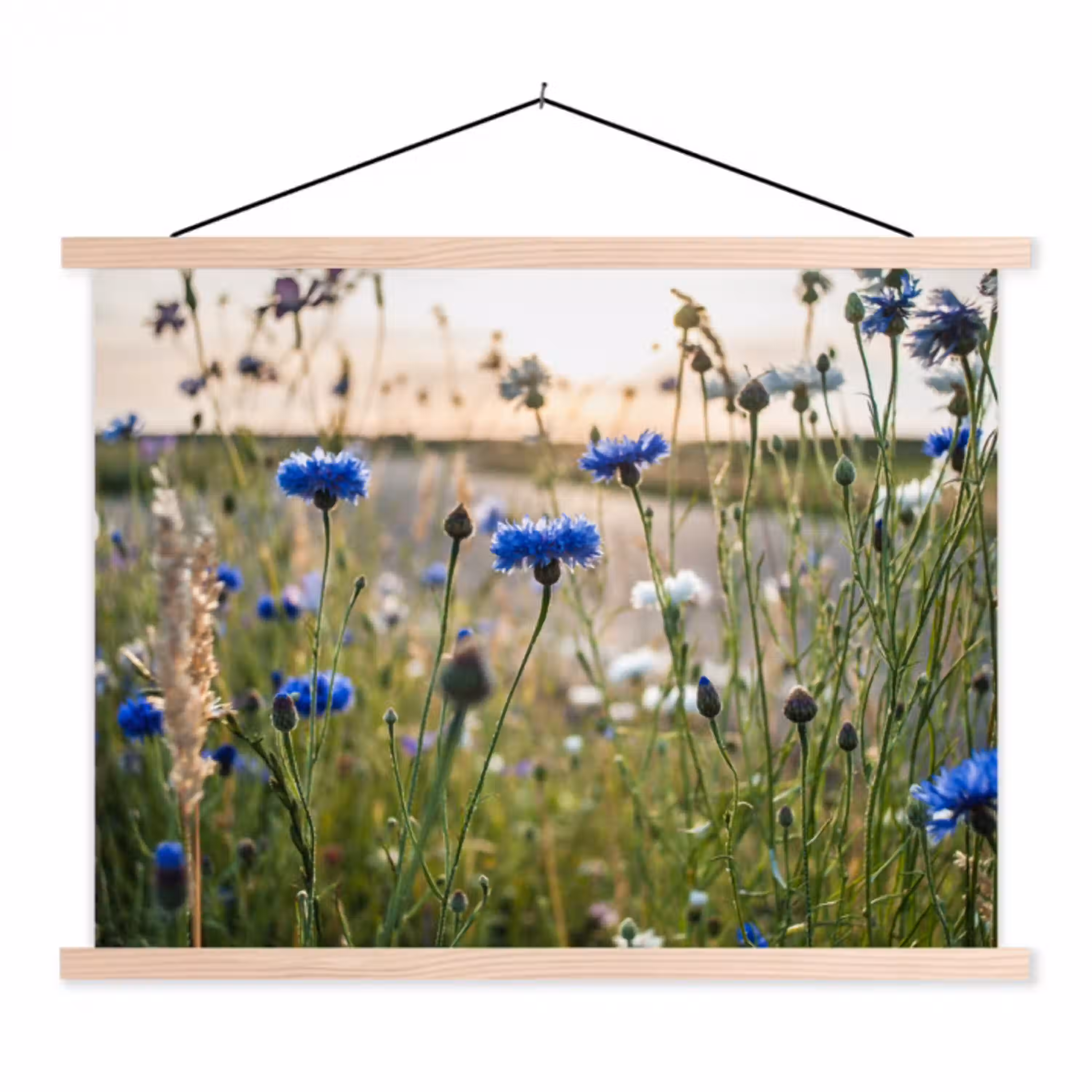 Bloemen - Zomer - Korenbloem - Blauw - Zon - Wolken textielposter latten blank klein -3d