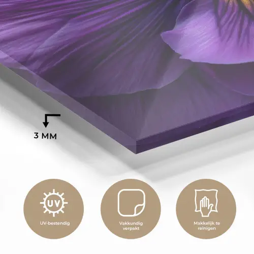 Paars - Viool - Diepte plexiglas 5mm klein -sfeer2