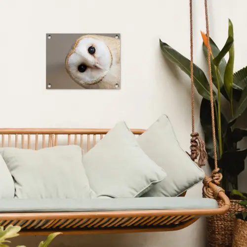 Uil - Bruin - Wit tuinposter los doek klein -sfeer7