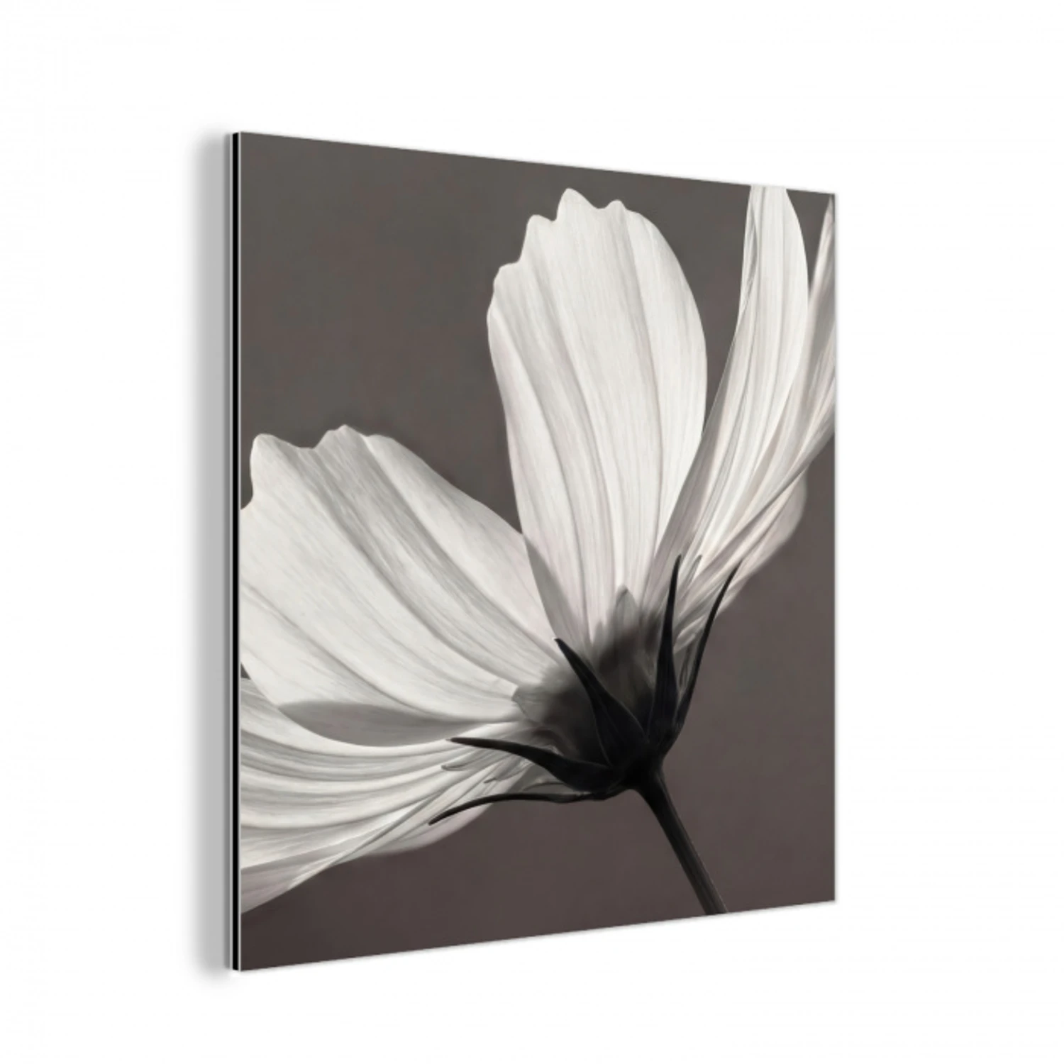 Bloem - Minimalistisch - Zwart - Wit aluminium wit klein -3d