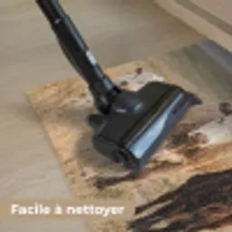 Runderen - Kudde - Landschap - Weide - Rustig Deurmat klein -reinigen_FR