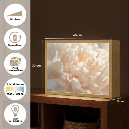 Close up - Pioenroos - Lichtroze Light Box met batterij (Wandlamp) middel -USP_websiteoverzichtNL