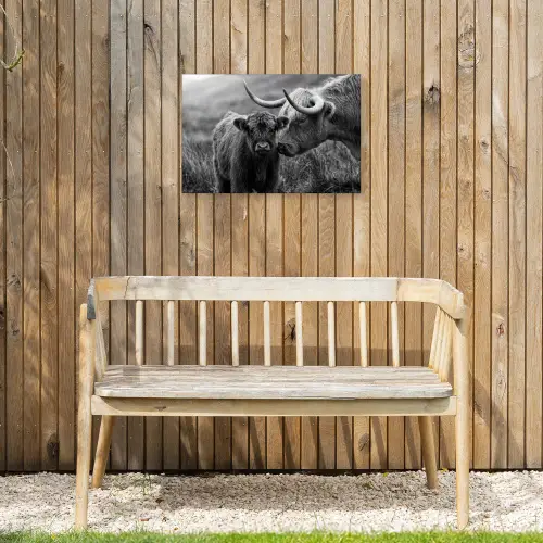 Schotse hooglander - Kalf - Zwart - Wit Tuinposter op houten frame 2 cm dik klein -sfeer4