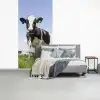 Koeien - Gras - Dieren - Zon - Boerderij fotobehang vinyl groot -slaapkamer