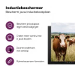 Koeien - Portret - Weide - Boerderij - Nieuwsgierig Inductie beschermer vinyl 3mm middel -zzzzzzz-cc-usp
