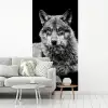 Wilde dieren - Wolf - Zwart - Wit fotobehang vinyl groot -woonkamer