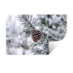 Dennenappel - Tak - Sneeuw - Winter - Sfeervol Muursticker klein -3d