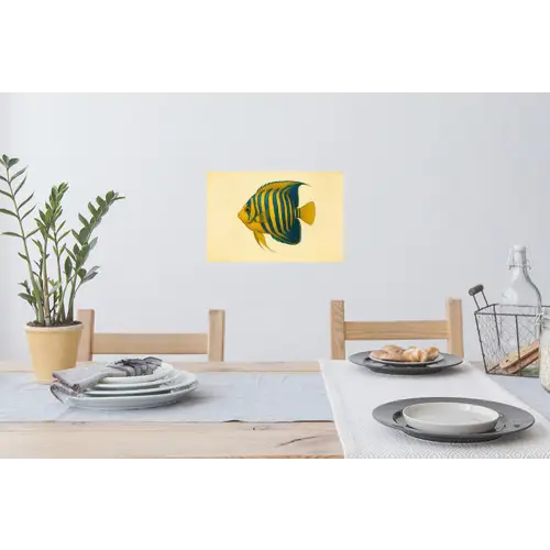 Felgeel - Vis - Strepen - Vinnen Muursticker klein -eettafel